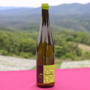 ヴィラージュシャルドネ2024