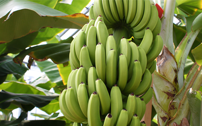 広野町振興公社